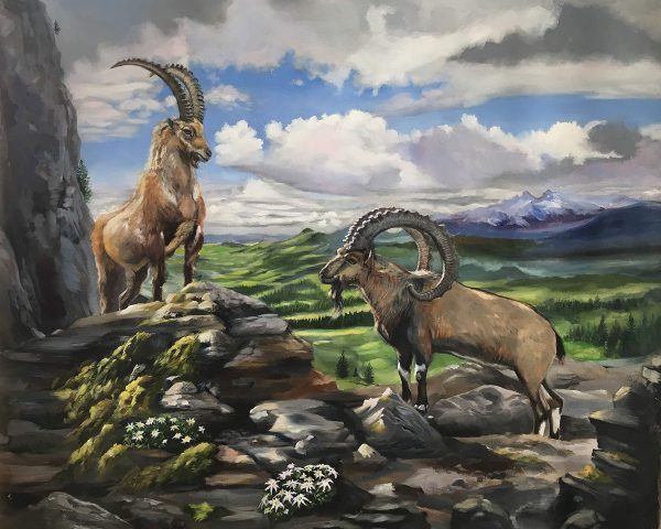 A digital photograph of a painting of two Alpine Iex, also known as steinboks, by Martha J Dodd