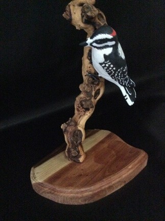 Downy Woodpecker Carving by Kay Stammers