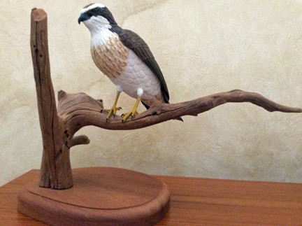 Hawk-Wood Carving by Kay Stammers