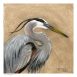 a painting of a great blue heron with a beige background by Martha Dodd called Majestic Beauty