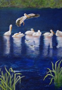Tuttle Snowbirds, colored pencil painting of white pelicans in blue waterirdie Girdie Gallery
