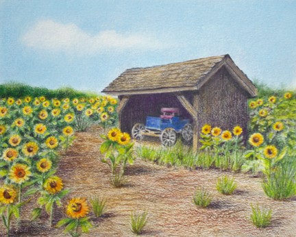 SunFlower Farm-Colored Pencil by Anne Tuttle