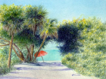 Drawing by Anne Tuttle