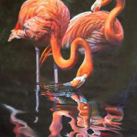 The Fairest Flamingo by Martha Dodd