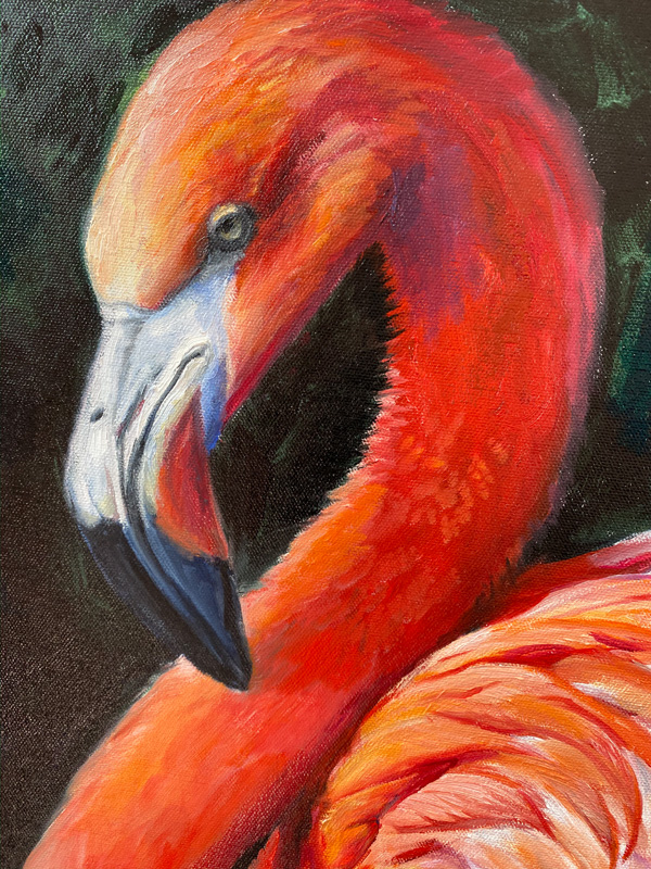 detail of the face of a flamingo