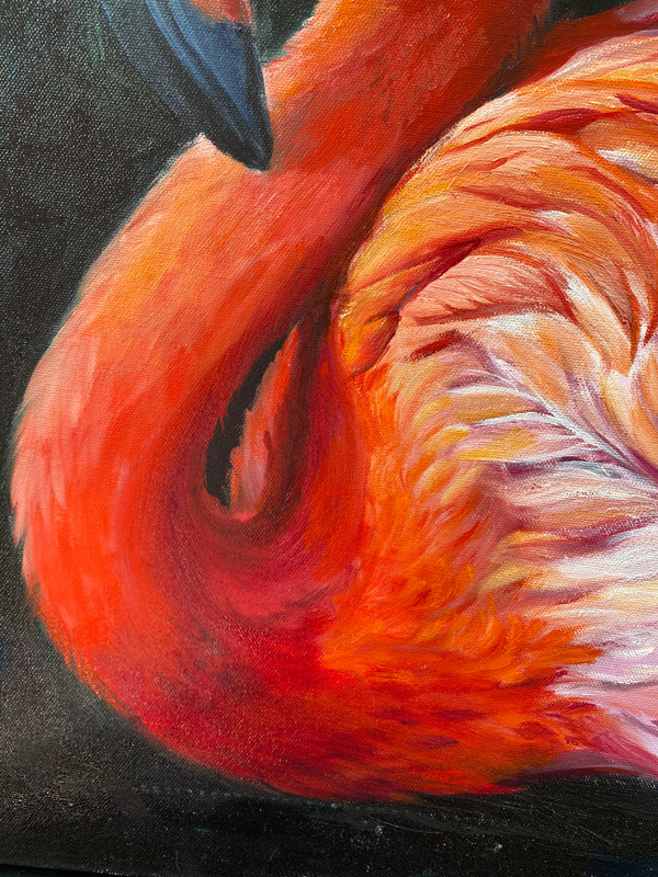 detail of the neck of the flamingo