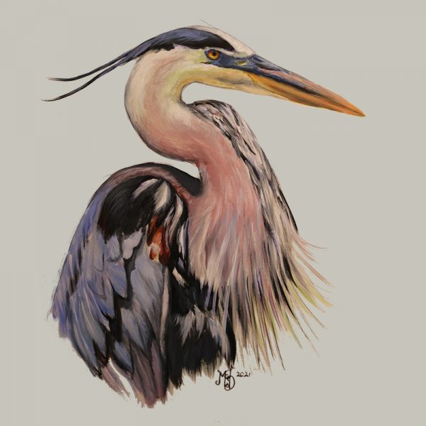 paintingof a greatblue herons upper torso in pastel colors by martha dodd