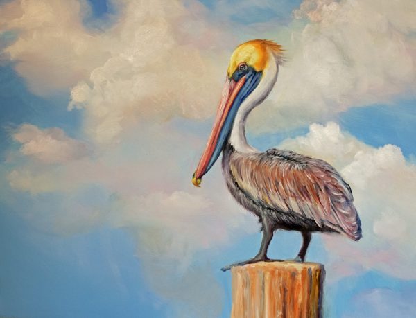 painting of a pelican on a piling by Martha Dodd entitled sunwashed pelican