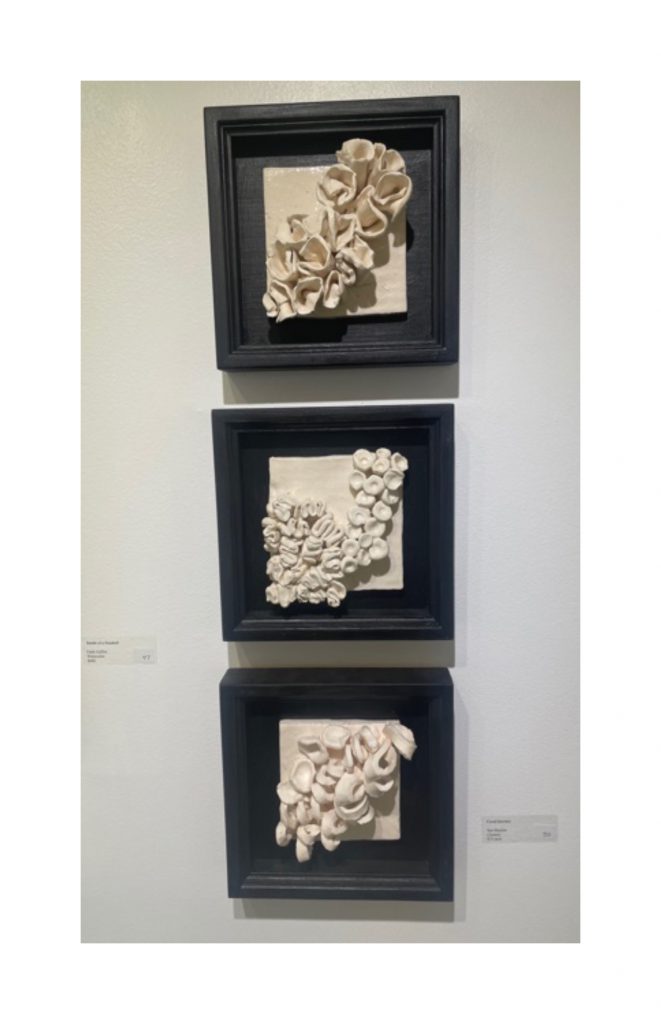 sue housler framed wall sculpture featuring white coral