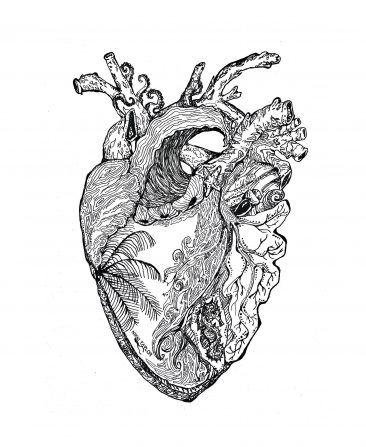 A pen and ink drawing of a coral reef, waves and octopus legs in the shape of a human heart.