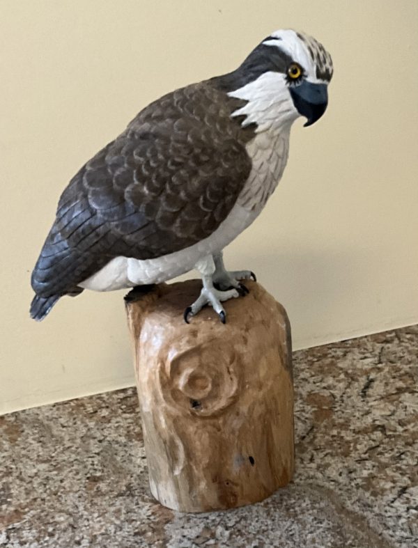 A SCULPTURE OF A N OSPREY BY KAY STAMMERS