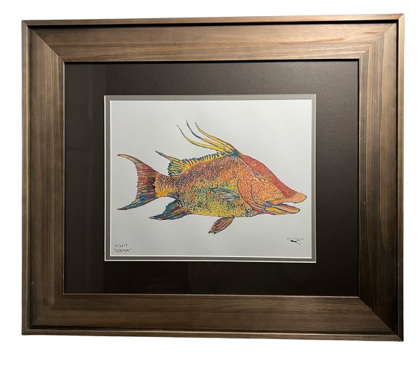 a print of a hogfish by nikki taylor with a rustic gold frame