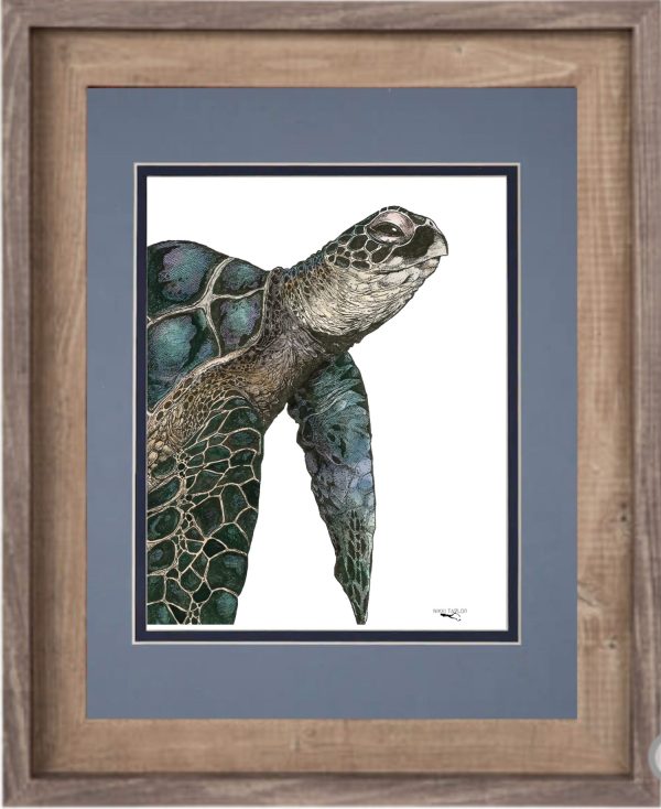 a sea turtle print framed and matted by nikki taylor