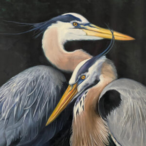 painting of two great blue herons by martha dodd