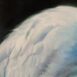Great White Egret Blues detail back